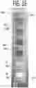 Fig. 19 - SENSOR AND TRANSMITTER PRODUCT