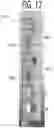 Fig. 20 - SENSOR AND TRANSMITTER PRODUCT