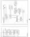 Fig. 05 - Diagnosis using a digital oral device
