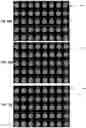 Fig. 14 - Systems and methods for cardiovascular-dynamics correlated imaging