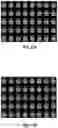 Fig. 18 - Systems and methods for cardiovascular-dynamics correlated imaging