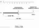 Fig. 08 - ELECTRONIC DEVICE FOR MEASURING BIOMETRIC INFORMATION AND OPERATION METHOD THEREOF
