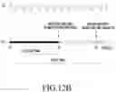 Fig. 16 - ELECTRONIC DEVICE FOR MEASURING BIOMETRIC INFORMATION AND OPERATION METHOD THEREOF