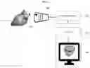 Fig. 03 - Systems and methods for rendering of cardiac electromechanical activation