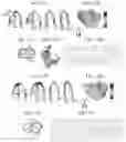 Fig. 18 - Systems and methods for rendering of cardiac electromechanical activation