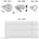 Fig. 21 - Systems and methods for rendering of cardiac electromechanical activation