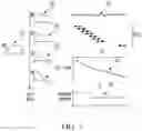 Fig. 04 - Attenuation estimation using ultrasound