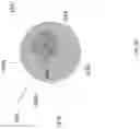 Fig. 21 - METHODS AND APPARATUSES FOR TELE-MEDICINE