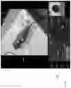 Fig. 31 - METHODS AND APPARATUSES FOR TELE-MEDICINE