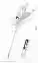 Fig. 17 - Surgical cutting device