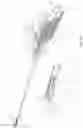 Fig. 21 - Surgical cutting device