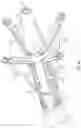 Fig. 22 - Suturing devices and methods for suturing an opening in the apex of the heart
