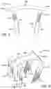 Fig. 08 - Surgical bending instrument