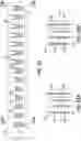 Fig. 30 - END EFFECTORS, SURGICAL STAPLING DEVICES, AND METHODS OF USING SAME