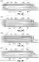 Fig. 40 - END EFFECTORS, SURGICAL STAPLING DEVICES, AND METHODS OF USING SAME