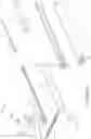 Fig. 30 - Clipping device for large defects, perforations and fistulas