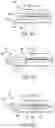 Fig. 12 - Surgical clip applier