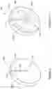 Fig. 10 - PERCUTANEOUS ACCESS DEVICE WITH ADJUSTABLE DEPTH STOP