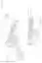Fig. 14 - Passive safety intraosseous device