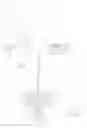 Fig. 15 - Passive safety intraosseous device