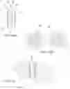 Fig. 12 - Device and method for reinforcement of a facet