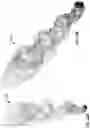 Fig. 08 - ENDODONTIC INSTRUMENTS DISPLAYING COMPRESSIBILITY