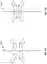 Fig. 15 - ENDODONTIC INSTRUMENTS DISPLAYING COMPRESSIBILITY