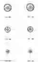 Fig. 22 - ENDODONTIC INSTRUMENTS DISPLAYING COMPRESSIBILITY