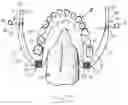 Fig. 03 - INTRA-ORAL APPLIANCE FOR FIELD ISOLATION AND MOISTURE CONTROL