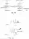 Fig. 07 - System and method for digital tooth imaging