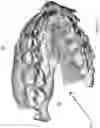 Fig. 19 - System and method for digital tooth imaging