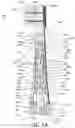 Fig. 13 - Oral care implement