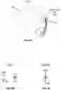 Fig. 08 - Biosensor performance indicator for intraoral appliances
