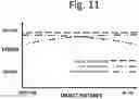 Fig. 13 - Method of Providing Modified Monovision to a Subject with a First Lens and a Second Lens