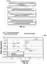 Fig. 14 - Ophthalmic devices, system and methods that improve peripheral vision