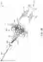 Fig. 05 - Prosthetic mitral valve and delivery method