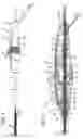 Fig. 02 - Delivery system for prosthetic heart valve