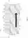 Fig. 15 - Stent with anti-migration feature