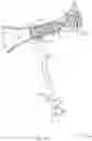 Fig. 19 - Rotatable stent delivery apparatus to cover access site