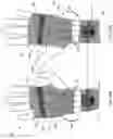 Fig. 28 - Soft braces to prevent injury to a joint or body segment