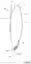 Fig. 05 - A DRAINABLE OSTOMY APPLIANCE