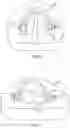 Fig. 07 - Methods and system for homogeneous dental appliance