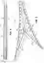 Fig. 06 - Variable stiffness flexure