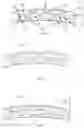 Fig. 03 - TREATING CONDITIONS CAUSED BY ABNORMAL GROWTH OF PATHOGENS IN BODY CAVITIES