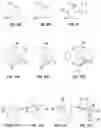Fig. 05 - INTRAOCULAR DELIVERY DEVICES AND METHODS THEREFOR