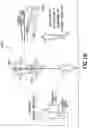 Fig. 20 - Myringotomy tool with multiple tool heads