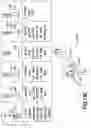Fig. 23 - Myringotomy tool with multiple tool heads