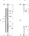 Fig. 01 - Disposable wearing article