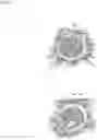 Fig. 24 - Elastic member and disposable wearing article including elastic member