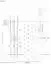 Fig. 13 - ELASTIC MEMBER AND DISPOSABLE WEARING ARTICLE INCLUDING ELASTIC MEMBER